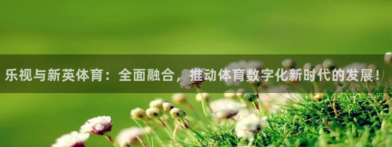 玩球直播看比赛
