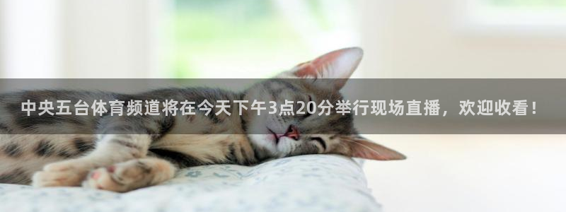 玩球直播app下载
