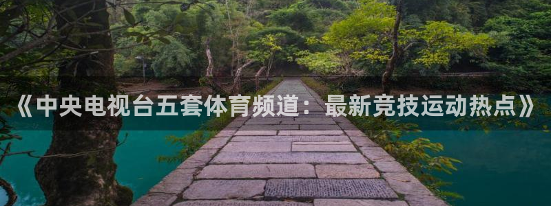 玩球直播(免费版)