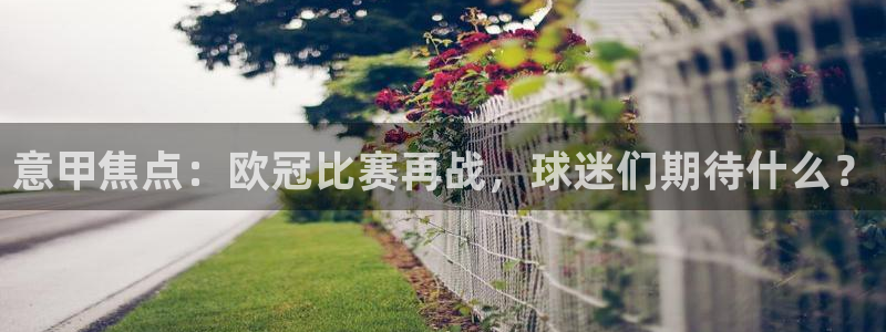 玩球直播官网nba直播免费观看