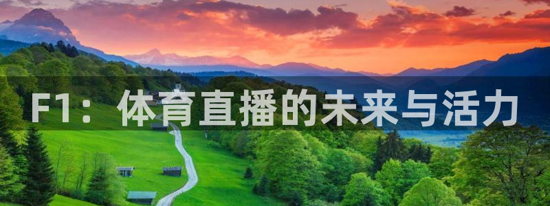 玩球直播 官网