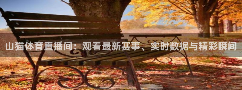 玩球直播在线