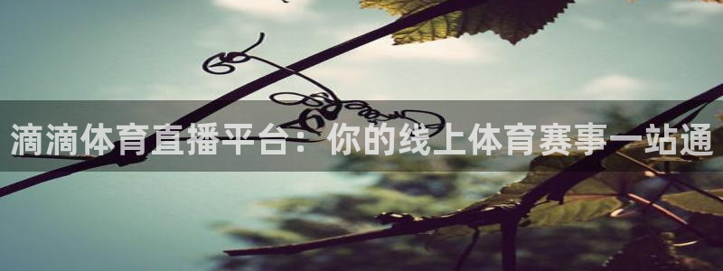 体育新闻