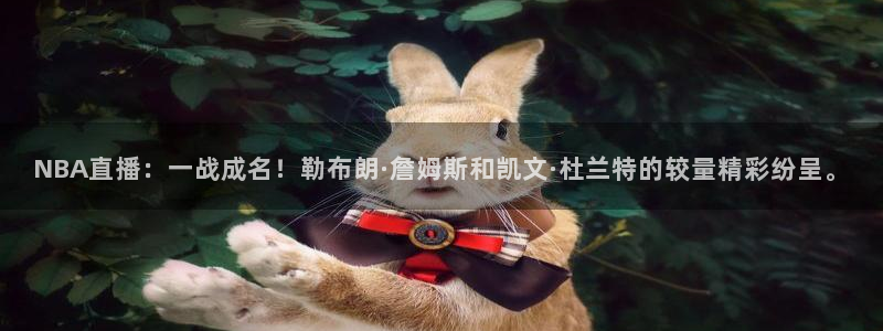 玩球直播网站