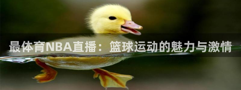 体育新闻