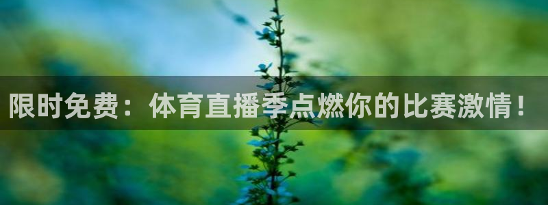 体育新闻